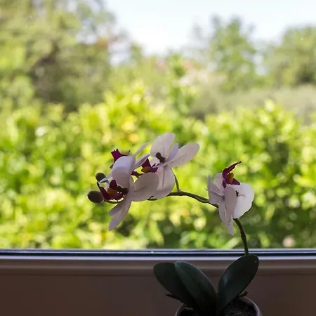 Bosko Holiday home Kastela