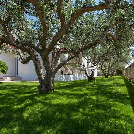 Bosko Holiday home *