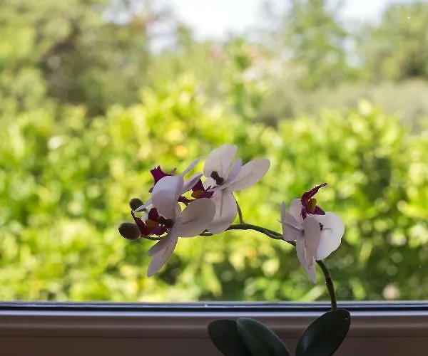 Bosko Nyaraló Kaštela